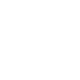Security module